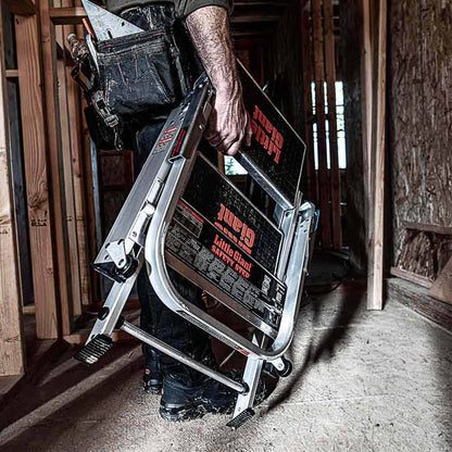 LITTLE GIANT Safety Step 2 - with bar 10210BA440