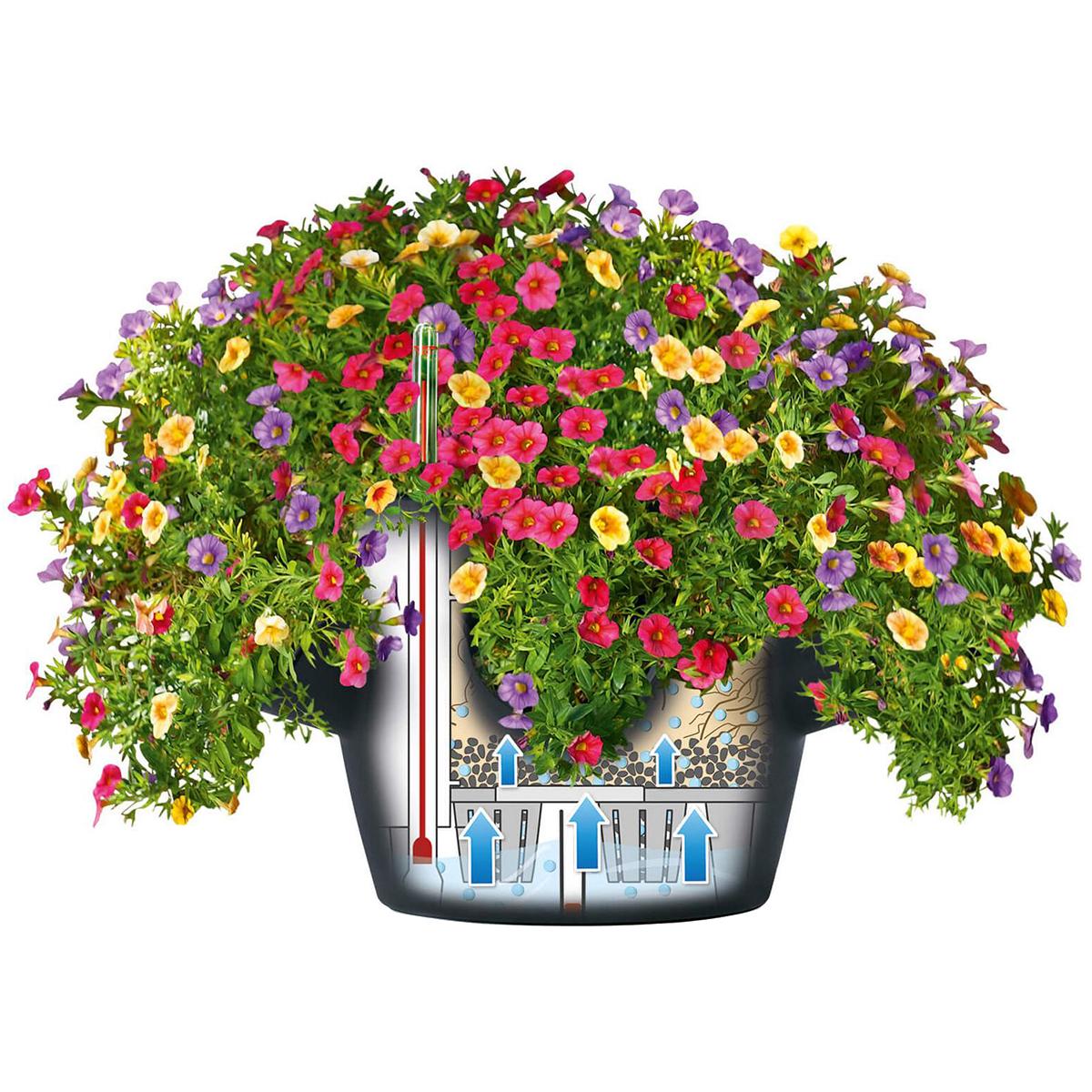 Lechuza Cascadino All In One Planter Slate