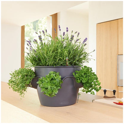 Lechuza Cascadino All In One Planter Slate