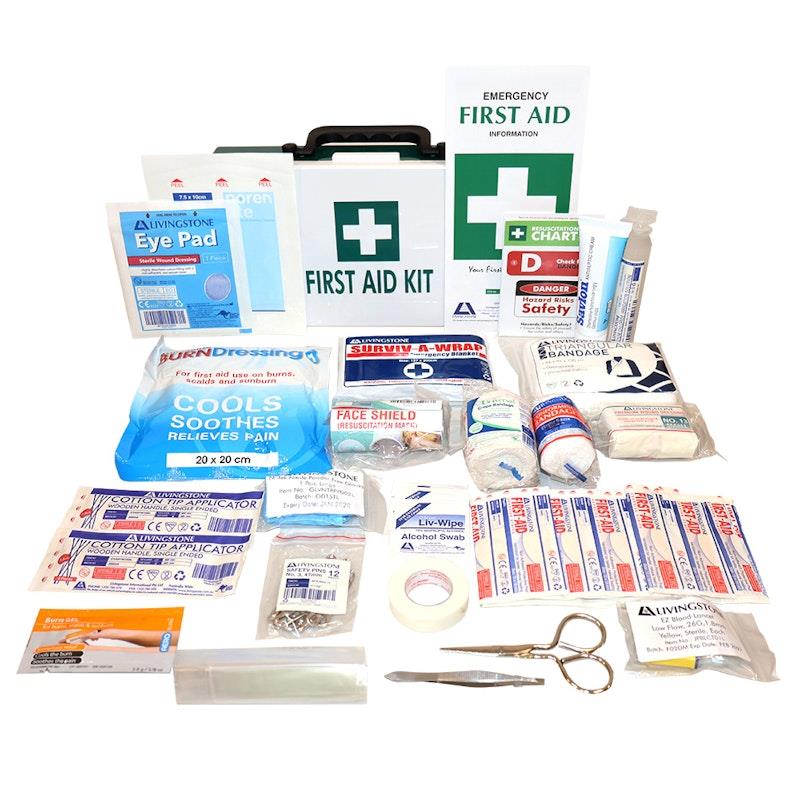 Livingstone Work Vehicle First Aid Kit Small In Plastic Case Bundle