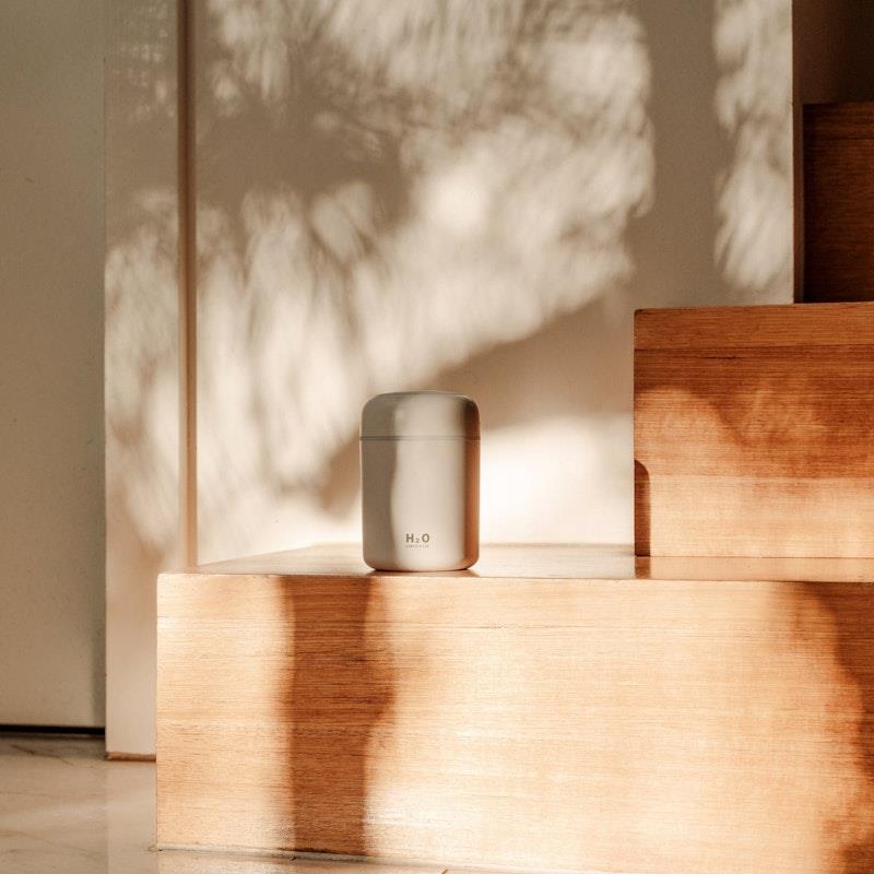 Living Today Mini LED Ultrasonic Humidifier - 300ML 1 Unit