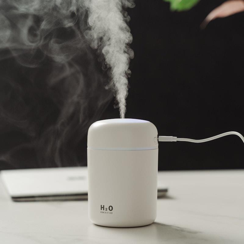 Living Today Mini LED Ultrasonic Humidifier - 300ML 1 Unit