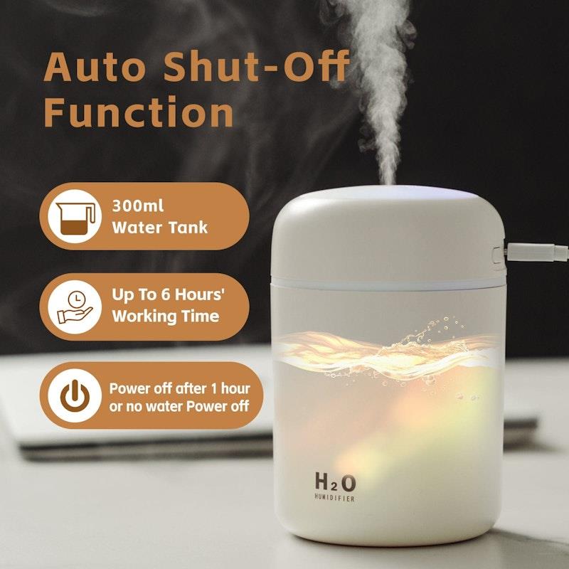 Living Today Mini LED Ultrasonic Humidifier - 300ML 1 Unit