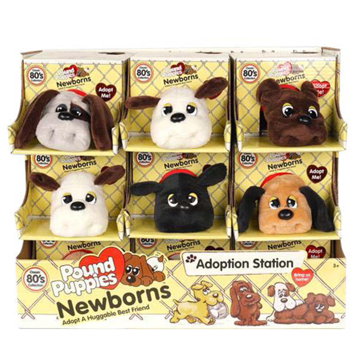 Pound Puppies Newborns 6 Pack