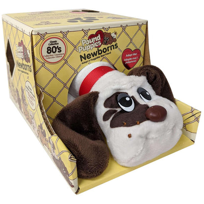 Pound Puppies Newborns 6 Pack