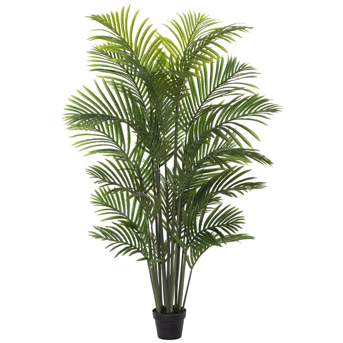 Rogue Acrea Palm Tree with Garden Pot 100 x 150 x 100cm