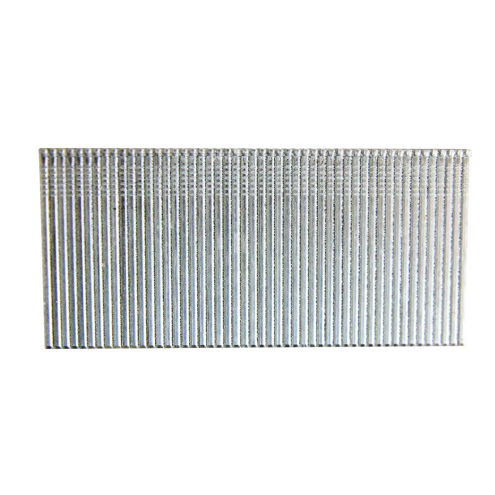 SENCO C Series Electro Galvanised Brad Nail - 38mm Box of 4000 C38
