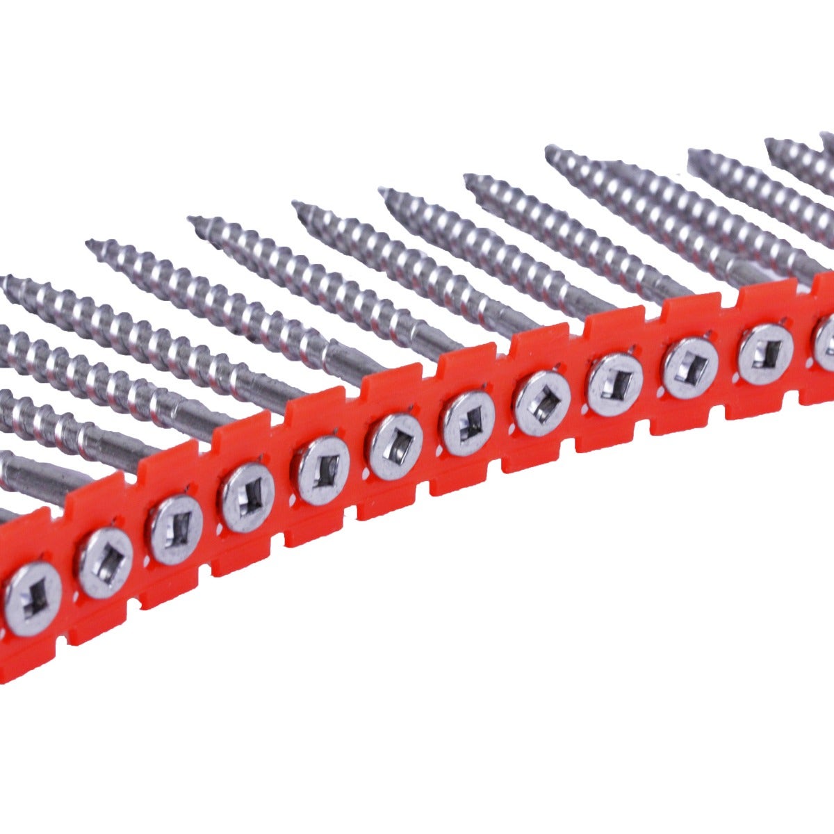 SENCO Collated Screws 304 Grade Stainless Steel 8 Gauge 65mm Tub of 1000 8R65MS04T