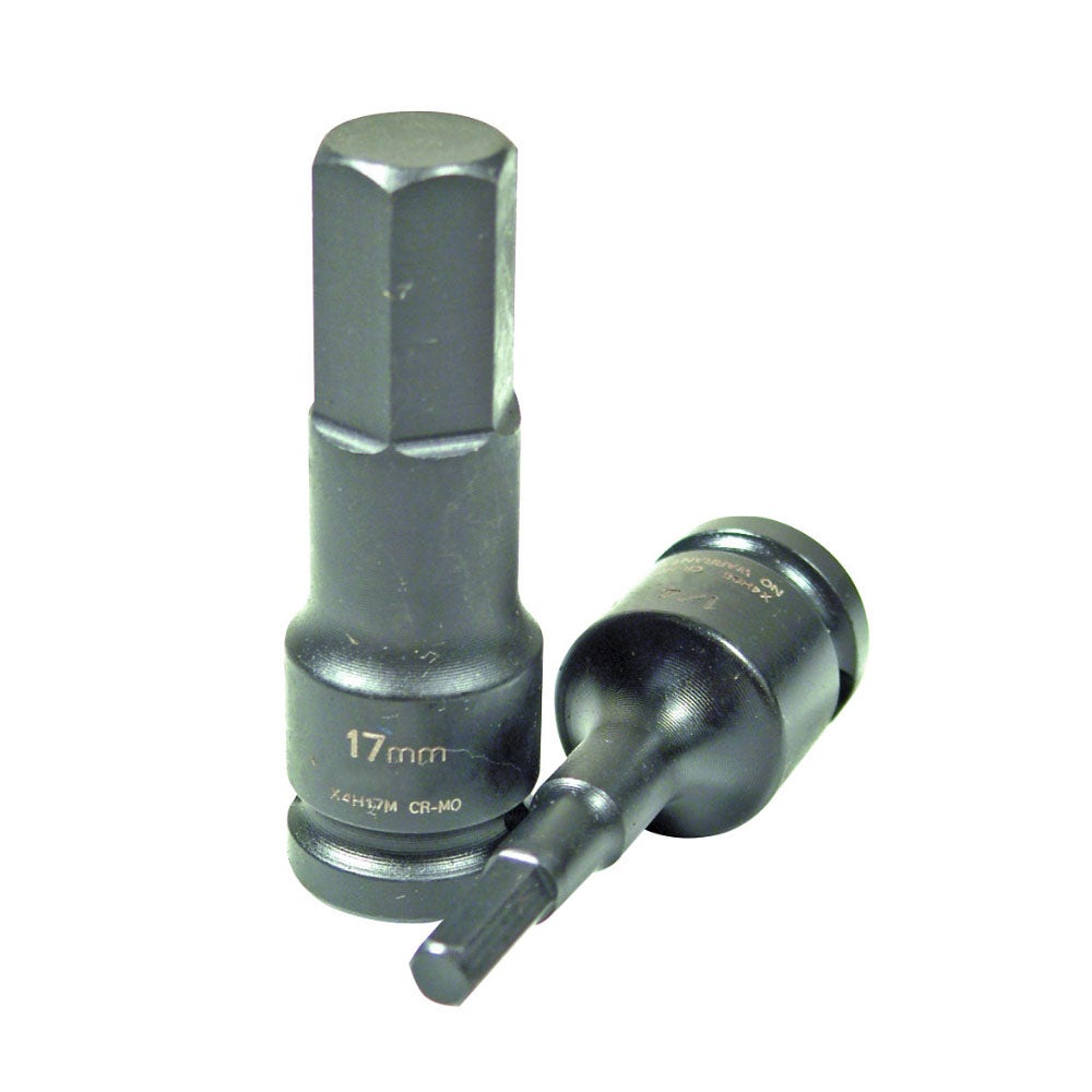SIDCHROME 19mm 1 2 SD Metric Inhex Socket X4H19M