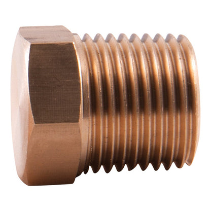SONSBEEK 1 2Inch BSP Hexagon Plug 64HP08B