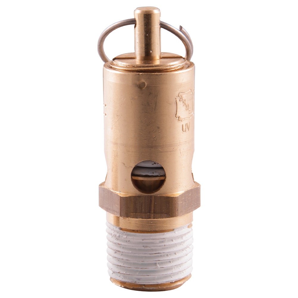 SONSBEEK 1 2 inch BSP Safety Valve 190SV08150