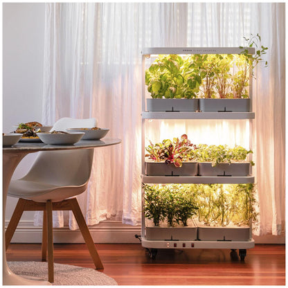 Urban Plant Growers The Family Farm Indoor Hydroponic Garden