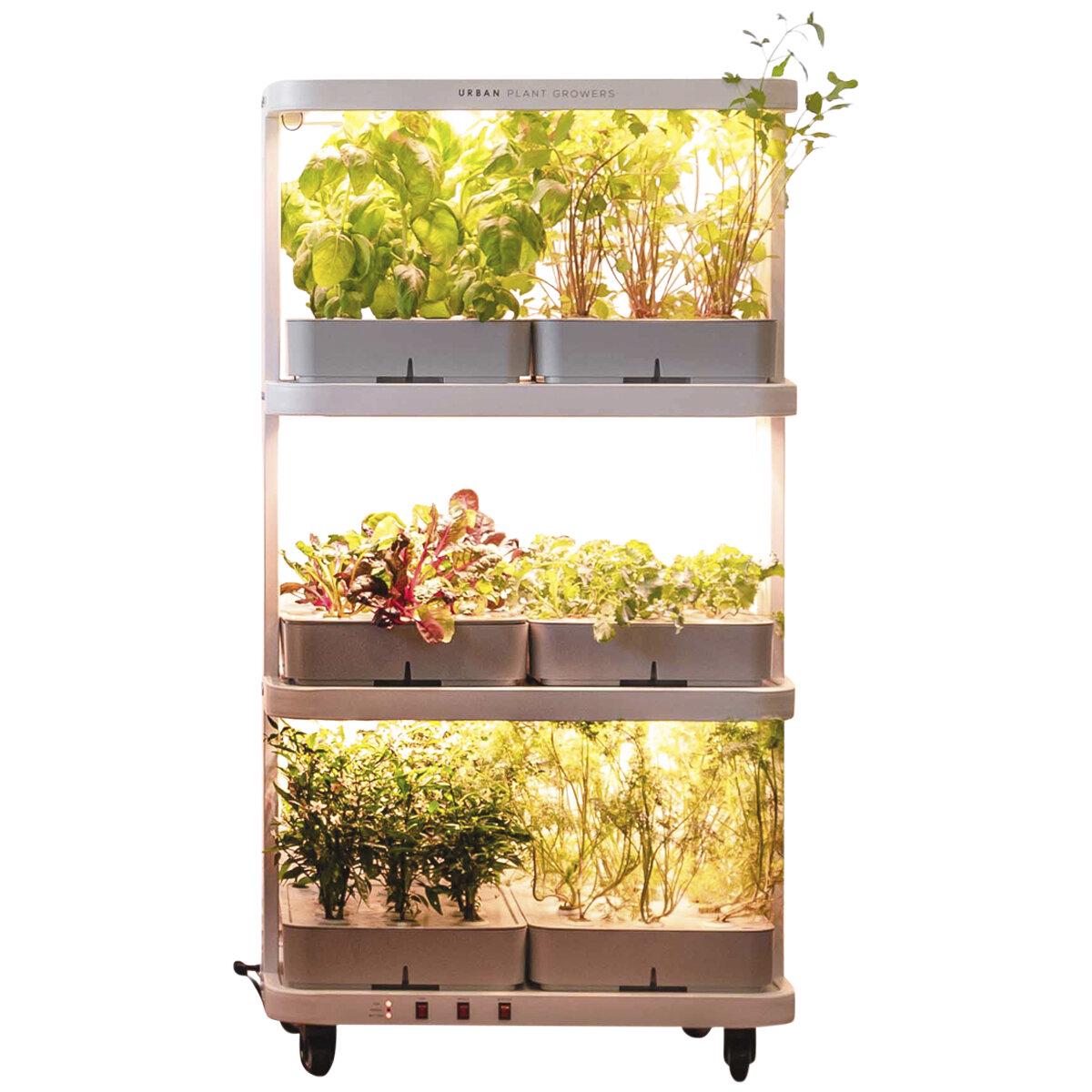 Urban Plant Growers The Family Farm Indoor Hydroponic Garden