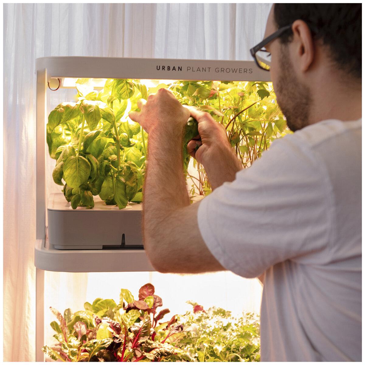 Urban Plant Growers The Family Farm Indoor Hydroponic Garden