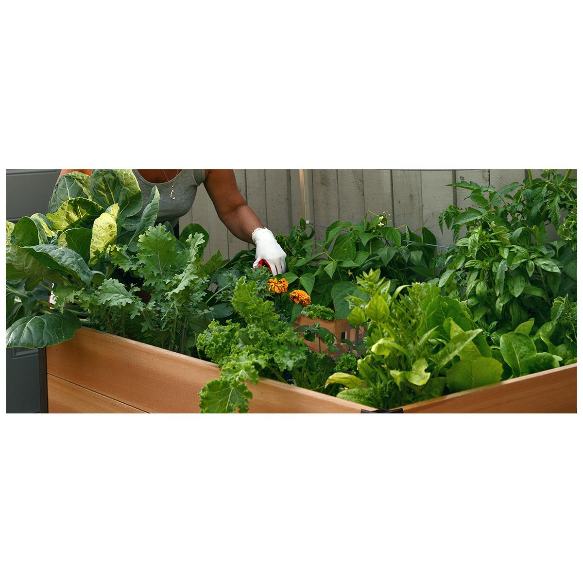 Vita Urban Keyhole Composting Garden Bed 91.4 x 152.4cm