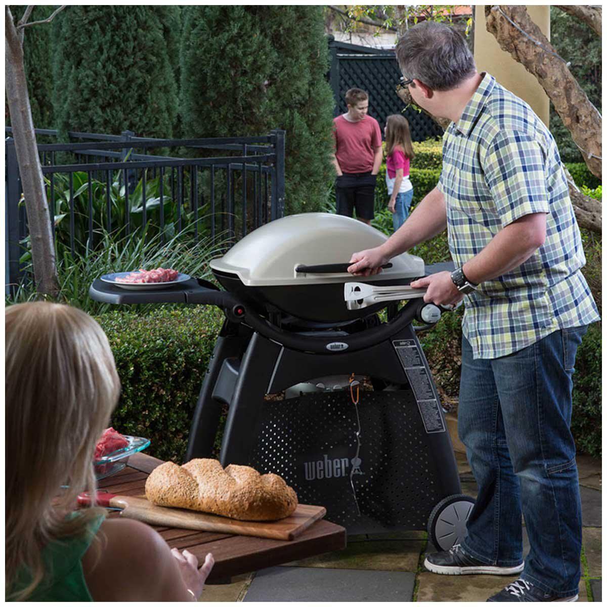 Weber Family Q3100 Titanium With Premium Barbecue Cover