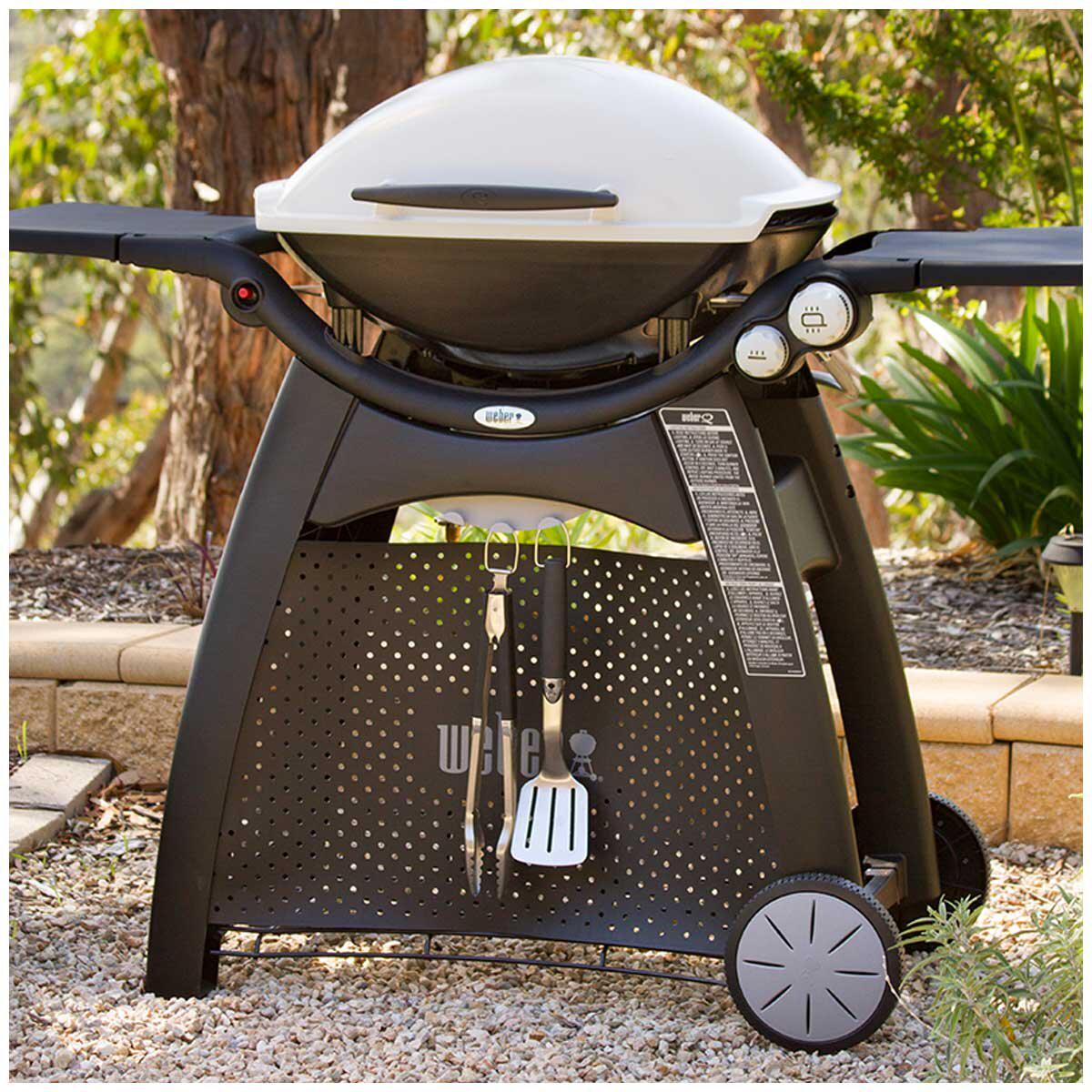 Weber Family Q3100 Titanium With Premium Barbecue Cover