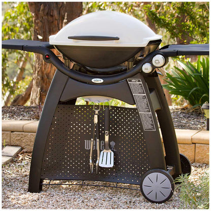 Weber Family Q3100 Titanium With Premium Barbecue Cover