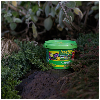 PowerFeed Controlled Release Plant Food - 1kg - All Purpose