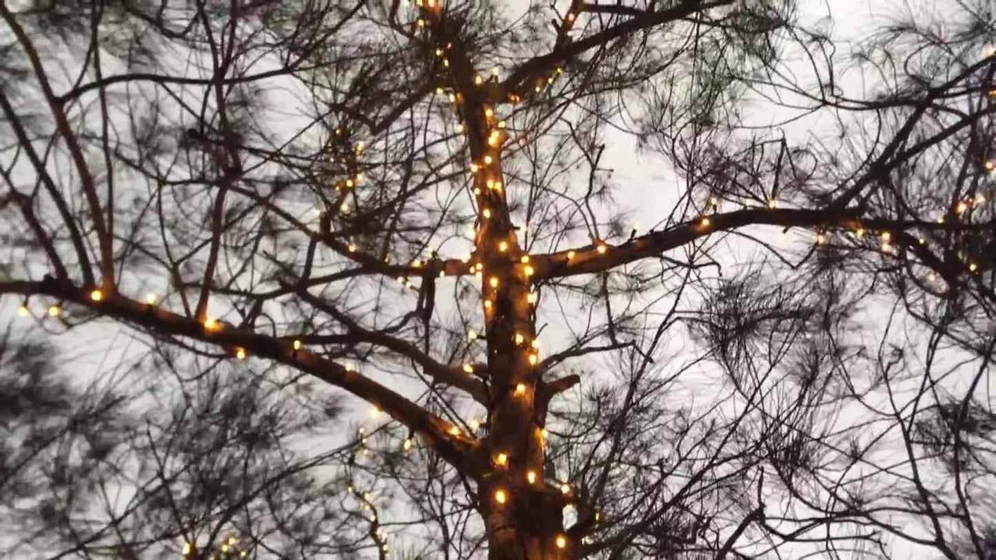 Lytworx Connectable Heavy Duty Fairy Lights - 23.9m - Warm White