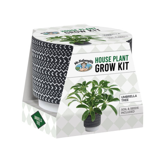 Mr Fothergill House Plant Grow Kit - Umbrella Tree