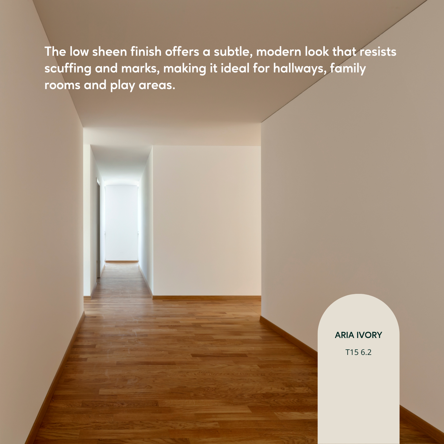 Taubmans Accent Low Sheen Endure Interior Walls Paint - 1L