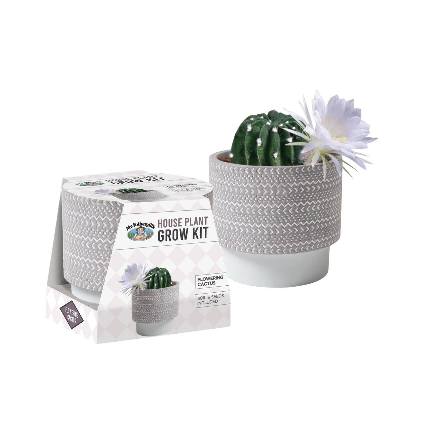 Mr Fothergill's Flowering Cactus Grow Kit - 95 x 100 x 75mm