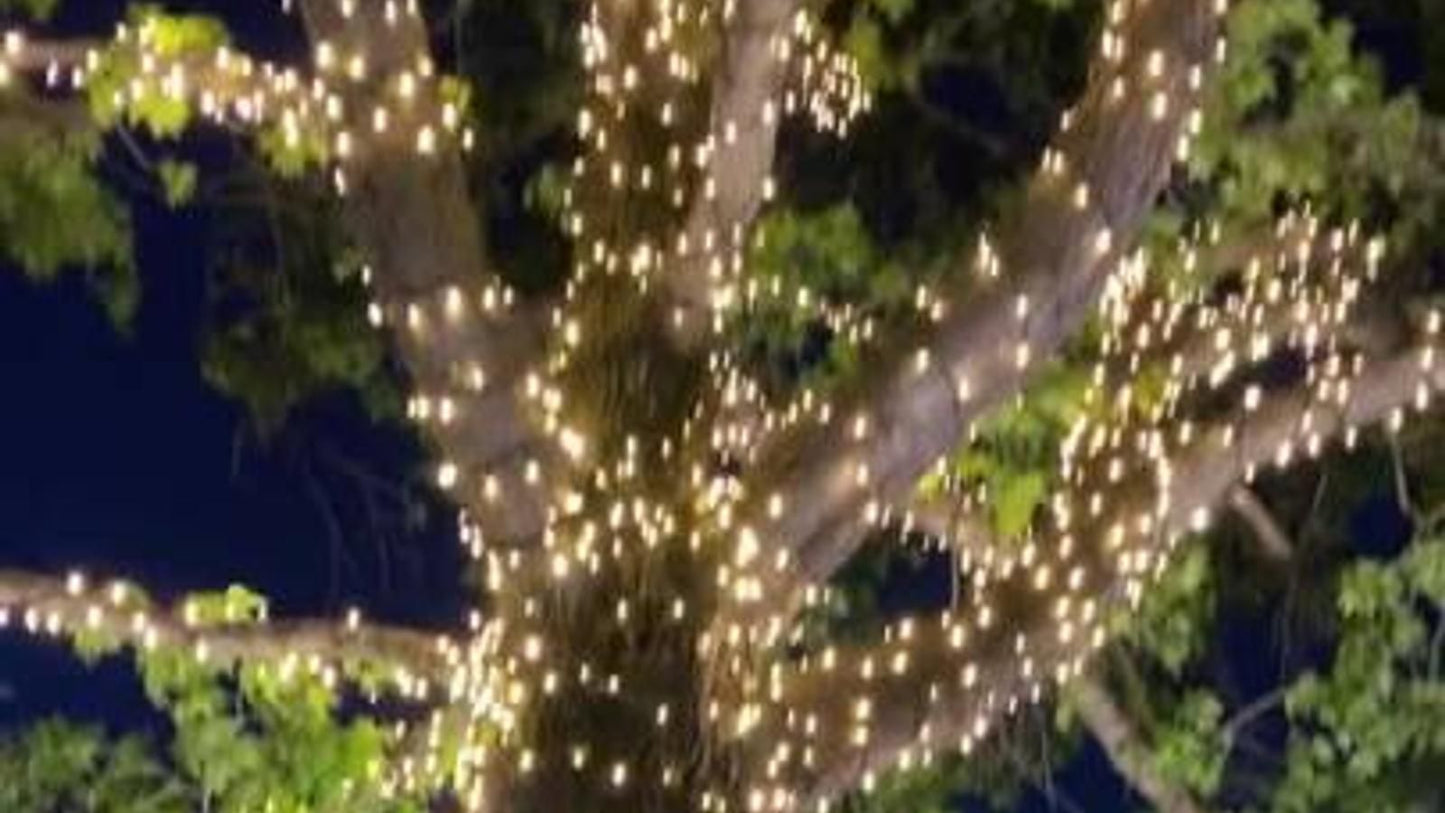 Lytworx Connectable Heavy Duty Fairy Lights - 23.9m - Warm White