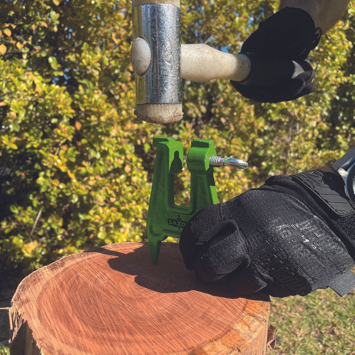 Saxon Chainsaw Filing Vice