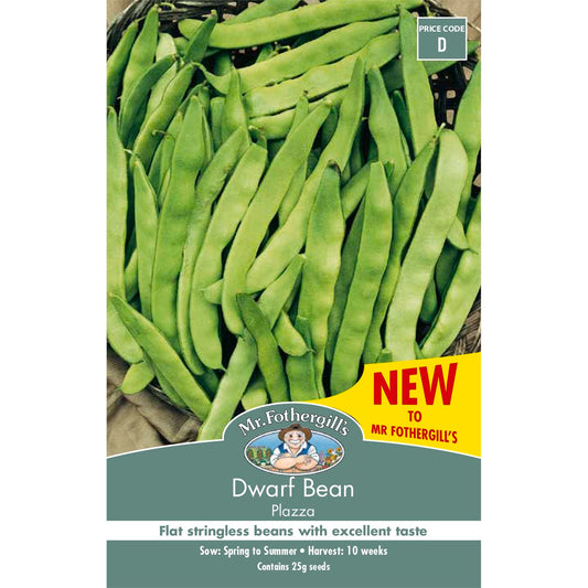 Mr Fothergill Dwarf Bean Plazza Seeds