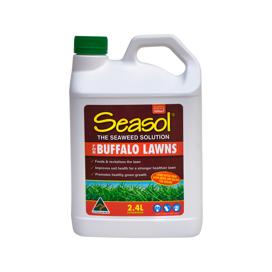 Seasol For Buffalo Lawns Concentrate - 2.4L