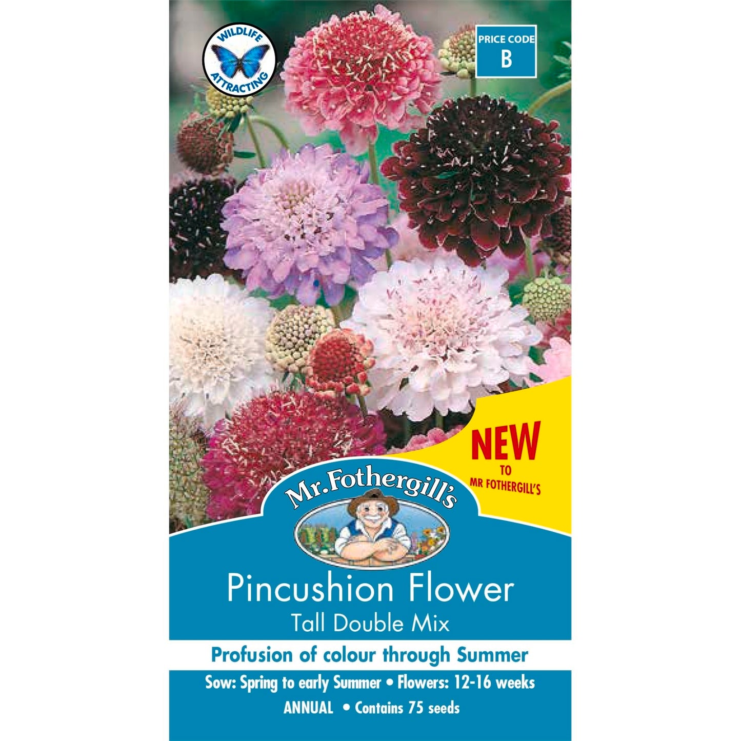 Mr Fothergill Pincushion Scabious Mixed Seeds