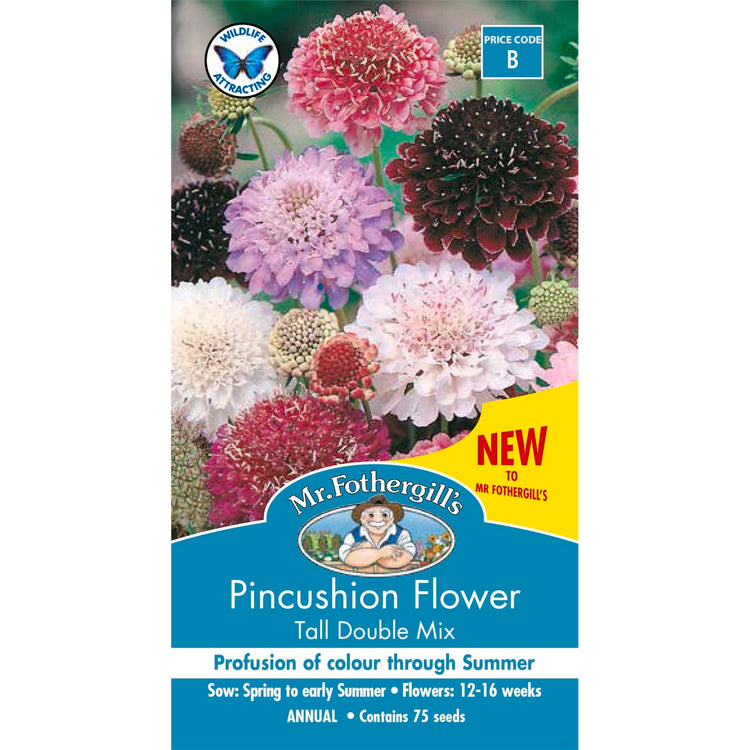 Mr Fothergill Pincushion Scabious Mixed Seeds
