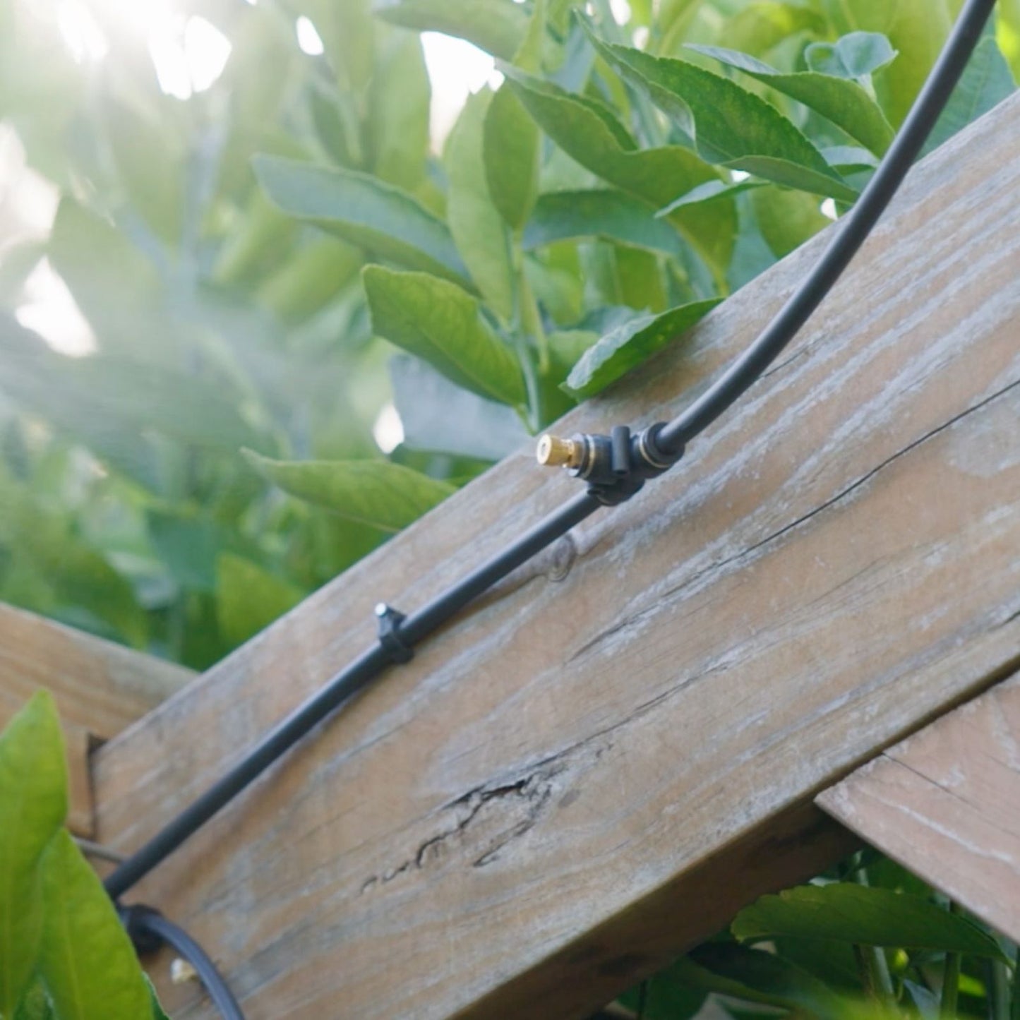 Holman Misting Expansion Kit