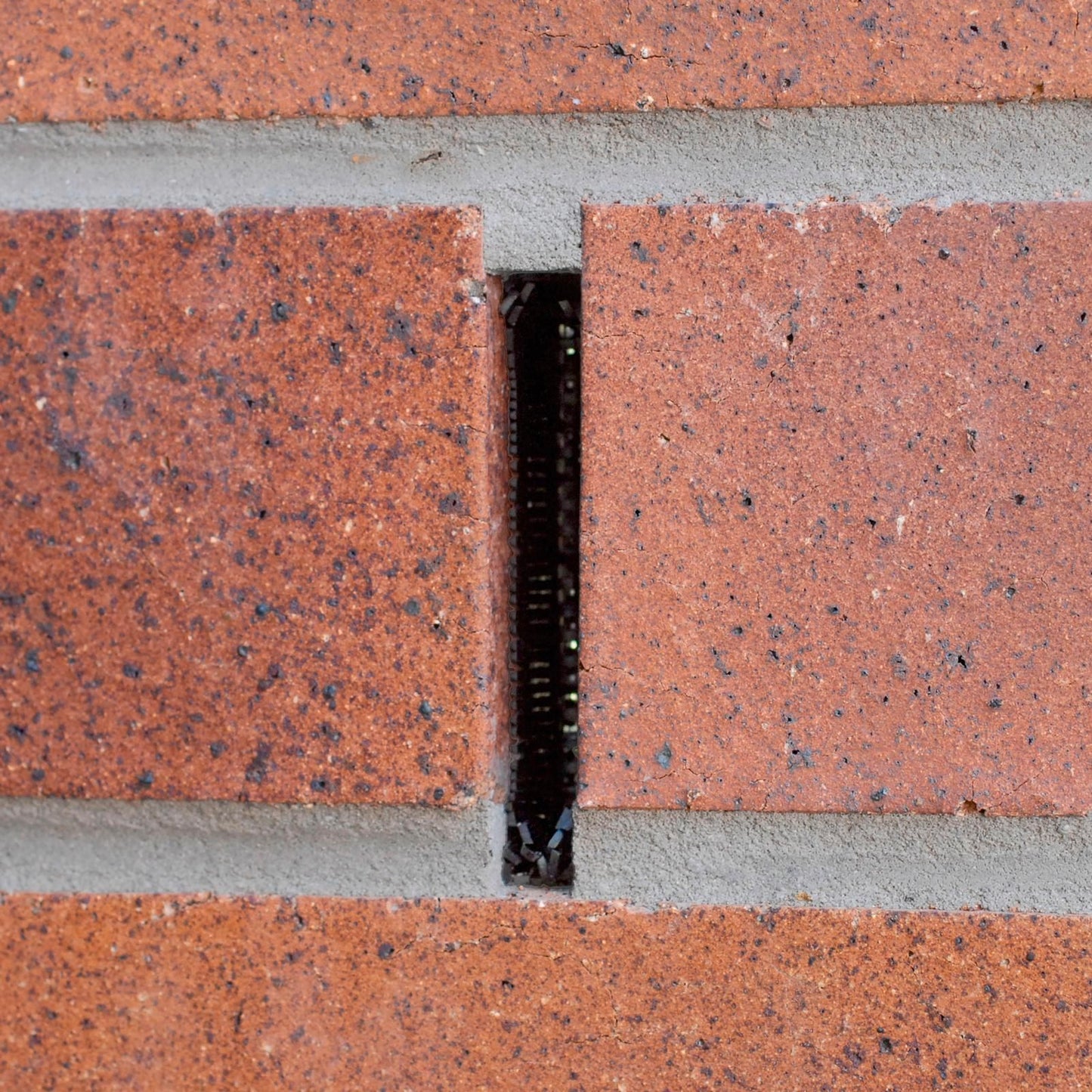 Weepa Termite Protector Weep Hole Screen - 30 x 93mm - 20 Pack - Black