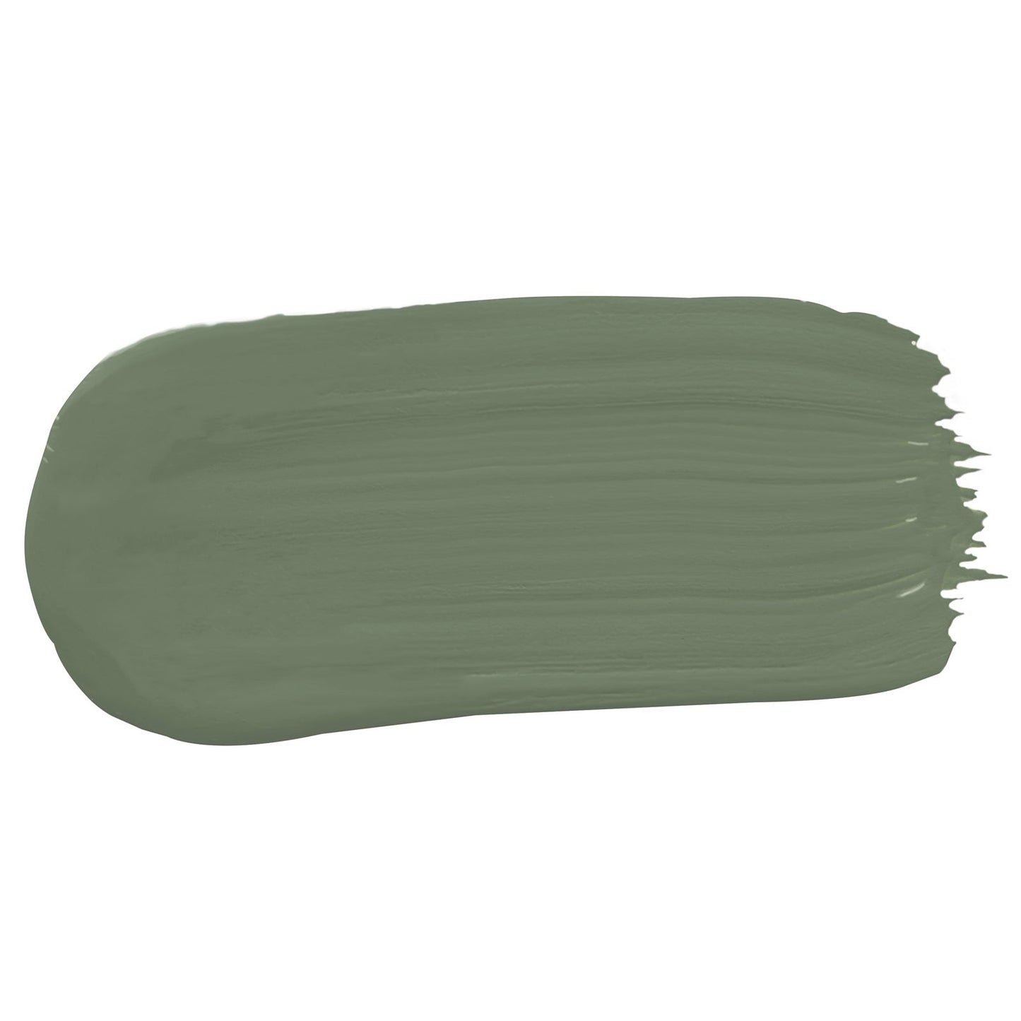 Porter's Washable Paint - 4L - Bayleaf - Eggshell