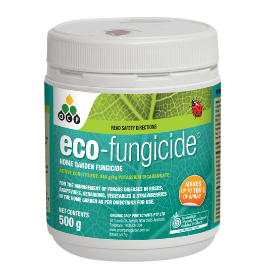 OCP Eco Fungicide - 500g