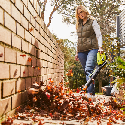Ryobi ONE+ HP Brushless Garden Blower Kit - 5.0Ah - 315km/h
