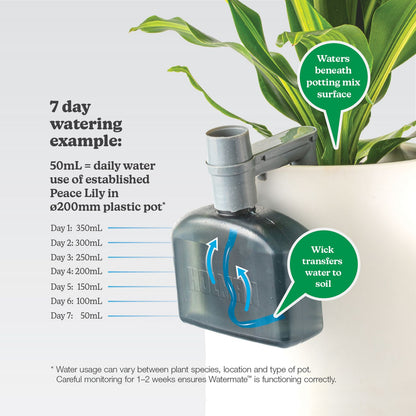 Holman Watermate Self Watering Tank - 350ml