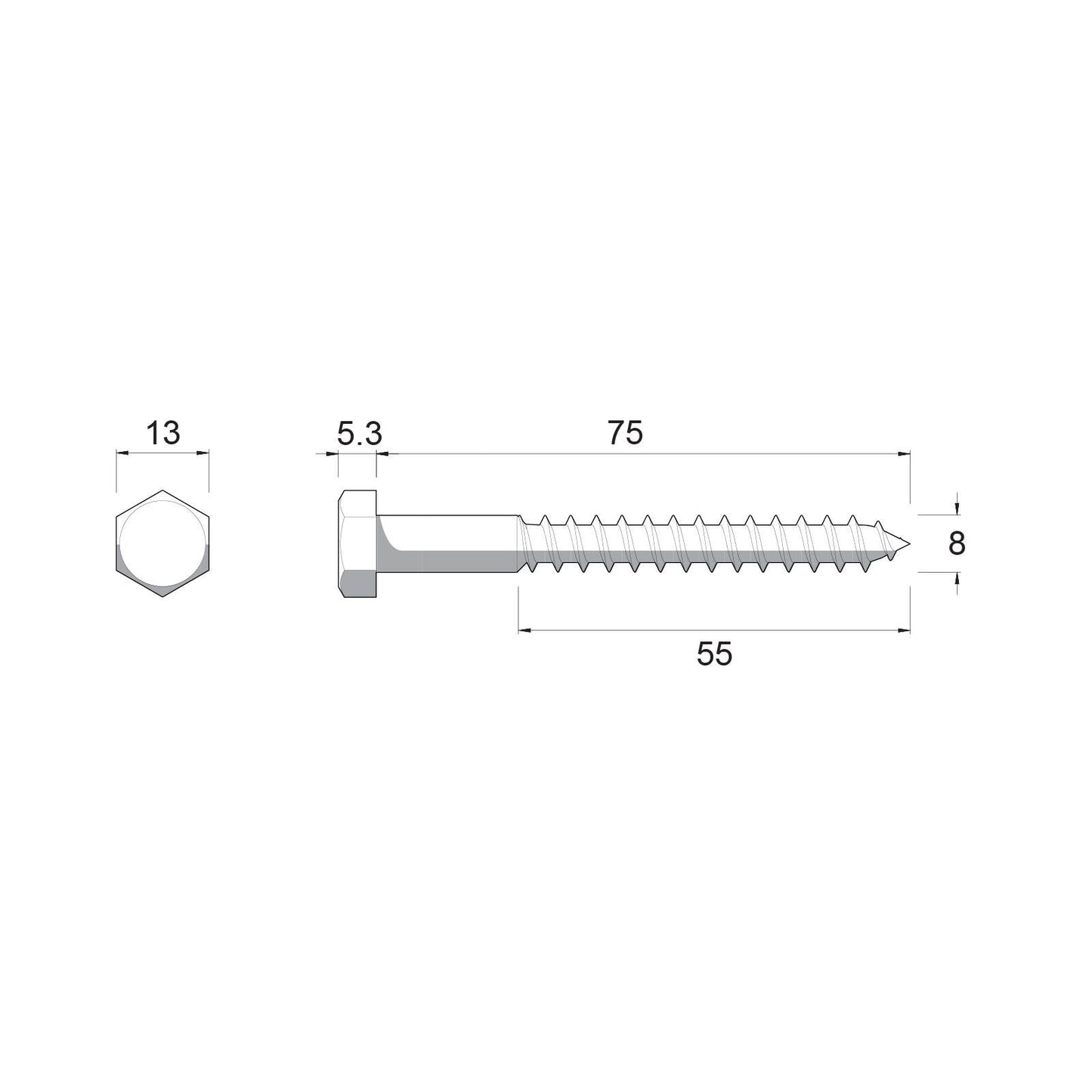 Zenith Hex Head Coach Screws - M8 x 75mm - Stainless Steel 304 - 12 Pack