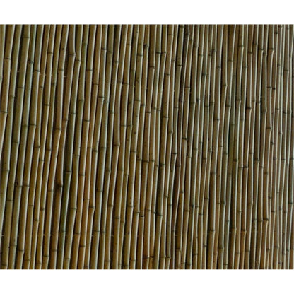 Eden Premium Screening - 1.8 x 1.5m - Bamboo - Privacy - Shelter