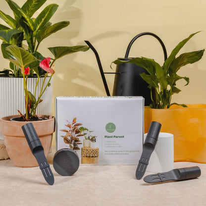 Willow Smart Indoor Plant Sensor - Plant Parent Pack - Charcoal