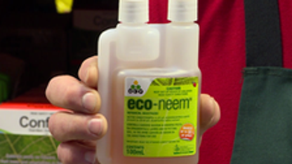 Ocp Eco Neem Concentrate - 100ml