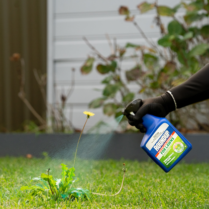 Roundup for Lawns - 1L