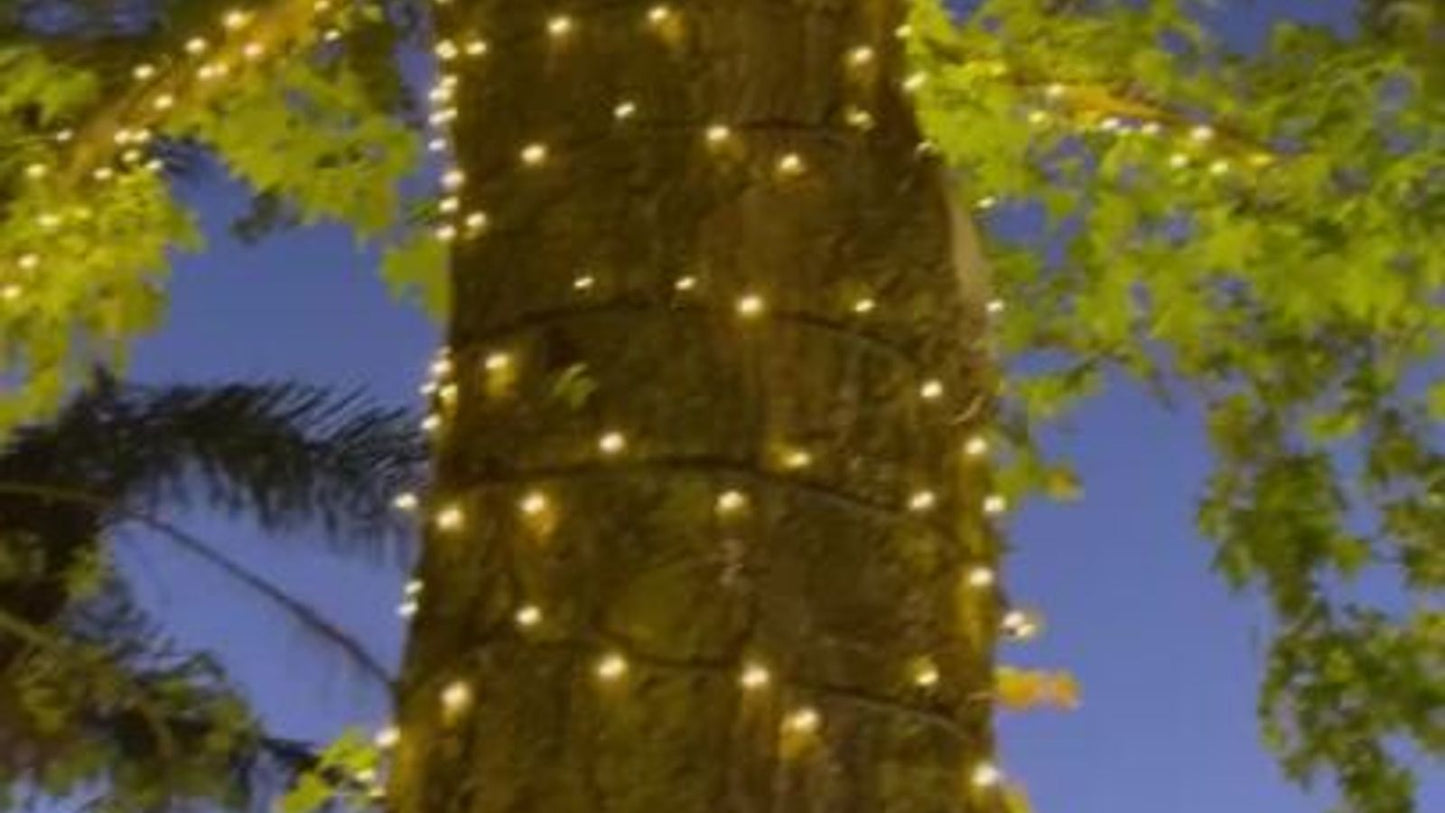 Lytworx Connectable Heavy Duty Fairy Lights - 23.9m - Warm White