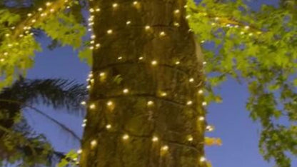 Lytworx Connectable Heavy Duty Fairy Lights - 23.9m - Warm White