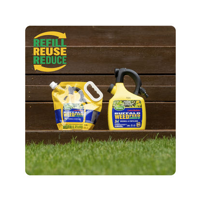 Scotts Lawn Builder Buffalo Weed Feed Green Up Refill Pouch - 2.5kg
