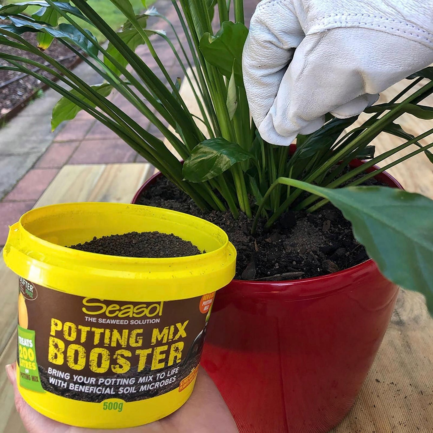 Seasol Potting Mix Booster - 500g - 200L