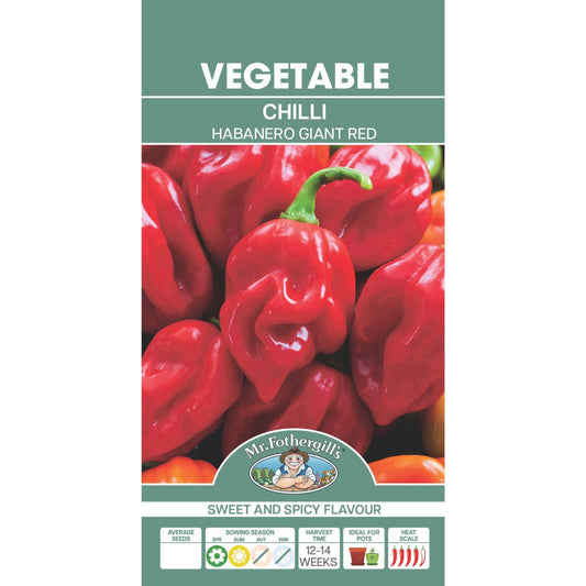 Mr Fothergill Chilli Habanero Giant Red Seeds - 30 Pack
