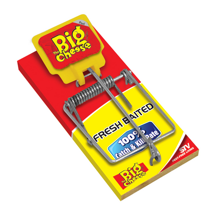 The Big Cheese Mouse Trap